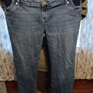 Classic Blue Women's Jeans Maternity